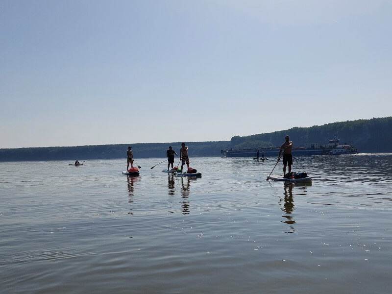 Intenzivno veslanje broj 3 - Bogojevo Novi Sad